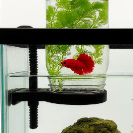 16 Oz Adjustable Inverted Aquarium Mason Jar Holder, Inverted Betta, Molly, Guppy Tank Holder, Aqua Cove